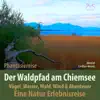 Birgit Lindlau-Kreutz, SyncSouls & Torsten Abrolat - Der Waldpfad am Chiemsee - Eine Natur Erlebnisreise: Vögel, Wasser, Wald, Wind und Abenteuer